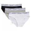 Arch Logo Graphic 3-Pack Hipster