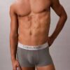 Brushed Microfiber Stretch Low Rise Trunk