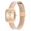 Curved Mesh Watch