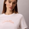 Felt Logo Graphic Classic T-Shirt