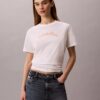 Felt Logo Graphic Classic T-Shirt
