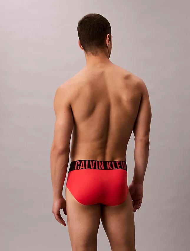 Intense Power Micro 3-Pack Hip Brief Intense Power Micro 3-Pack Hip Brief