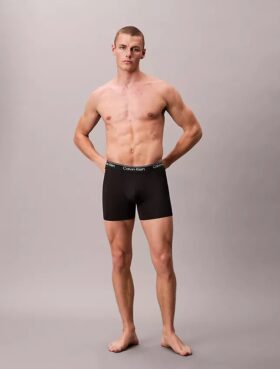Microfiber Stretch 5-Pack Boxer Brief